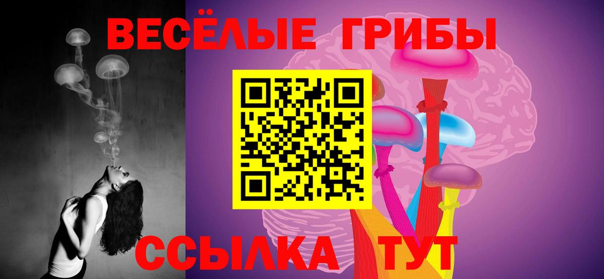 наркота  Галлюциногенные грибы мицелий  Вход с VPN  Елабуга 