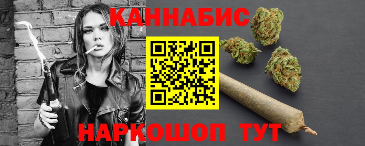 Конопля сатива Елабуга